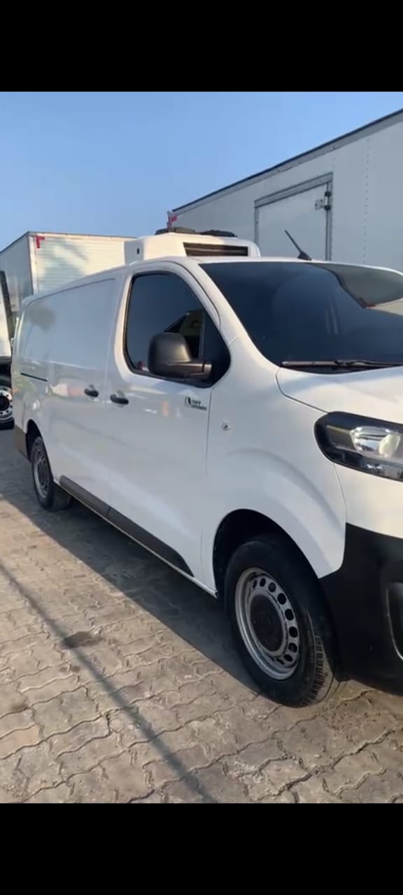 Van branca com equipamento de refrigeração da frota